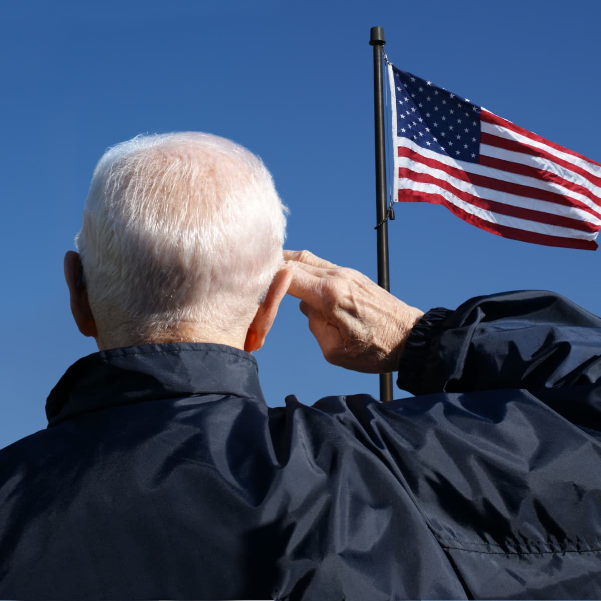 Elderly veteran saluting the American flag